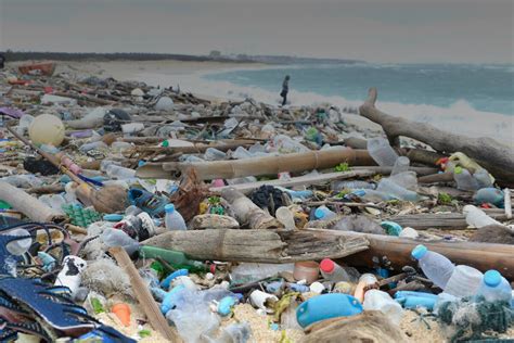 Più mare meno plastica Greenpeace Italia