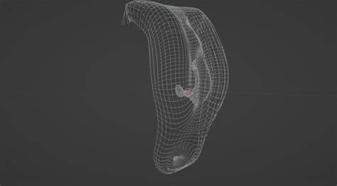 Realistic Black Vagina And Anus Low Poly 3D Model In Other 3DExport