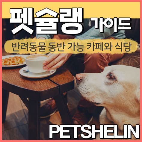 애견동반식당 다녀왔어요 김포 그믐달 애견동반식당 네이버 블로그