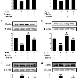 Effect Of Of Sericin And I Sericin Or Fibroin And I Fibroin On A