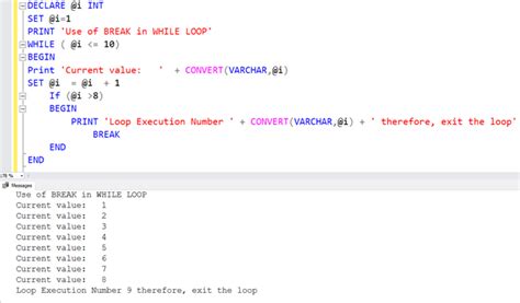 Understand Sql While Loop With Examples