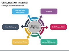 Objectives Of The Firm Powerpoint And Google Slides Template Ppt Slides