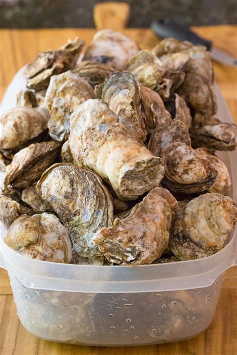 How To Shuck Oysters A Spicy Perspective