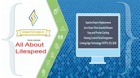 What Is Litespeed Webserver TOSHOST LTD