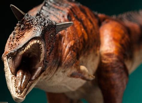 Conoce Al Toro Carnívoro Carnotaurus