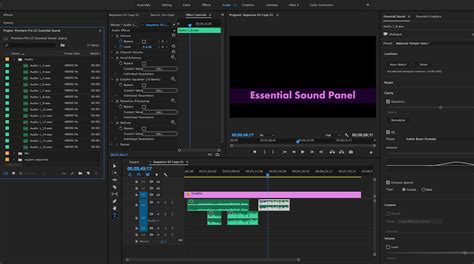 How To Mix Audio With The Adobe Premiere Pro Essential Sound Panel Pond5