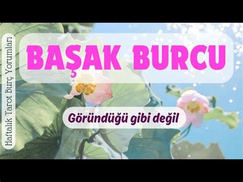 BAŞAK BURCU bu hafta bazı şeyler göründüğü gibi değil YouTube