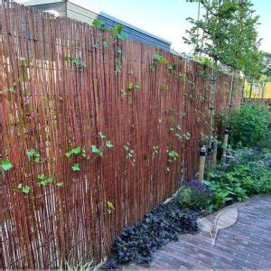 Natuurelijke Schutting Van Natuurlijke Tuinschermen Op Rol