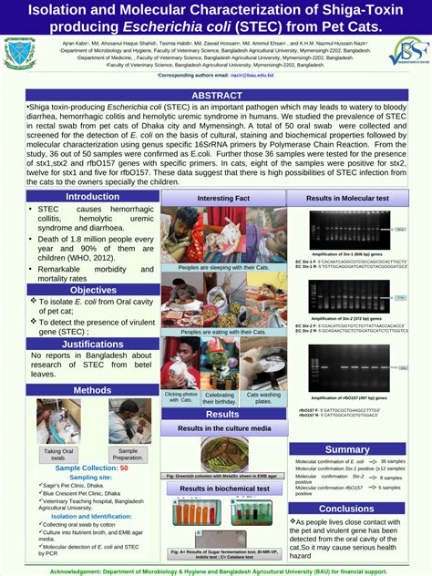 Pdf Isolation And Molecular Characterization Of Shiga Toxin Producing