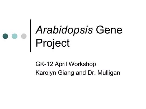 Ppt Arabidopsis Gene Project Powerpoint Presentation Free Download Id 696131