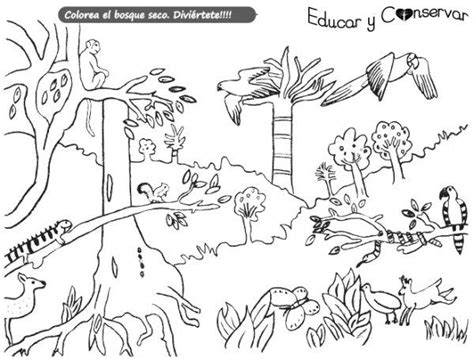 â Ecosistema Terrestre Para Colorear Dibujo De Un Ecosistema Ecosistema Terrestre Y Acuatico