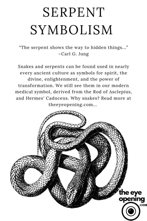 Serpent Symbolism In Spirituality Serpent Symbolism Symbols And