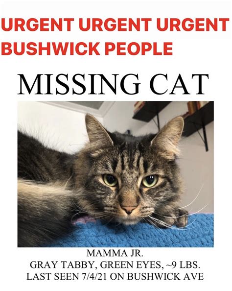 I designed a flag for New York City: River flowing into the ocean with