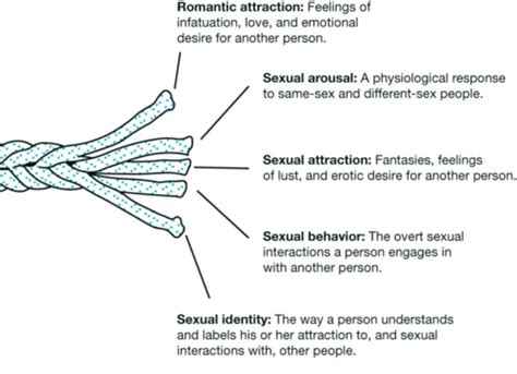 Chapter Sexual Orientation Flashcards Quizlet