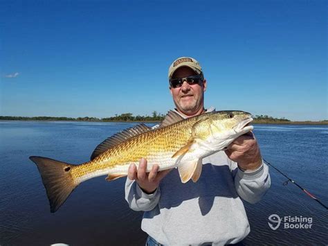 Coastal Ga Fishingshellmans Bluff Updated 2024 Prices