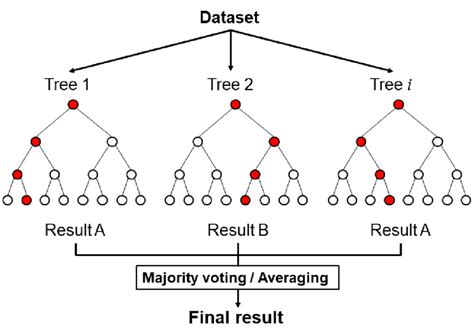 Schematic Diagram Of The Random Forest Classifier Download