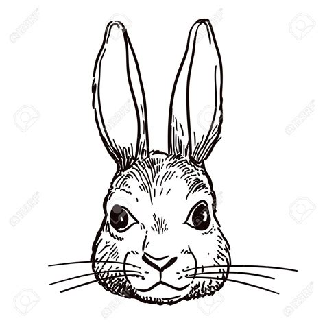 Line Drawing Bunny Rabbit At Getdrawings Free Download