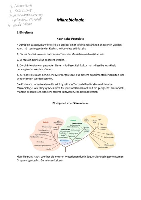 MiBi Zusammenfassung Mikrobiologie 1 Kochsche Postulate Damit Ein