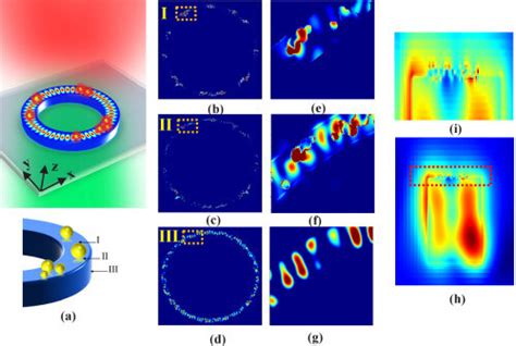 A A Plasmonic Microcavity System Driven By A Dipolar Source