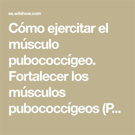 Cómo Ejercitar El Músculo Pubococcígeo Fortalecer Los Músculos