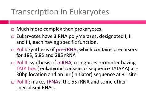 Presentation On Gene Transcription - PowerPoint Slides - LearnPick India