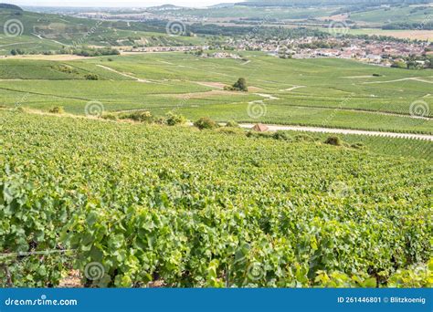 Champagne Vineyards, France Stock Image - Image of cloud, moet: 261446801