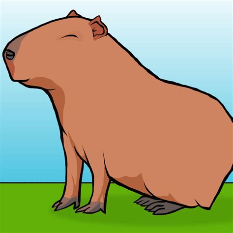 I Drew A Capybara Rcapybara