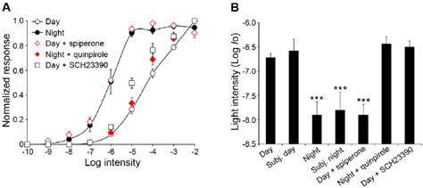 Light Response Amplitude And Sensitivity Of Rabbit A Type Horizontal