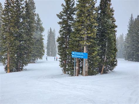 Turkey Trot Naked Lady At Snowmass Joe Shlabotnik Flickr