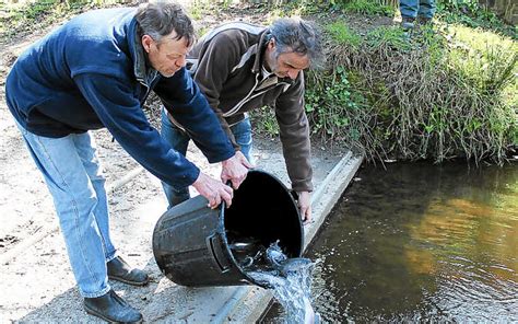 Pêche Lâcher de truites arc en ciel Le Télégramme