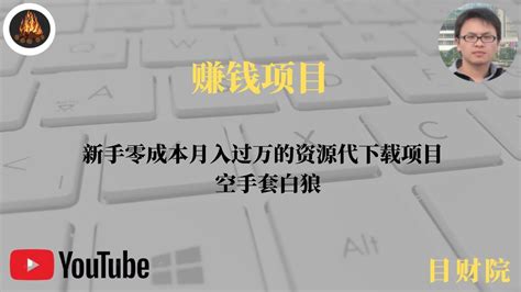 新手零成本月入过万的资源代下载项目 空手套白狼 Youtube