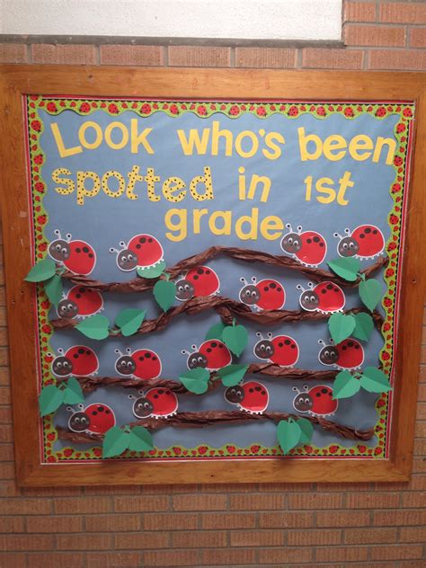 Ladybug Bulletin Board Dollar Tree Border And Ladybugs Bulletin Board Tree Ladybug Bulletin