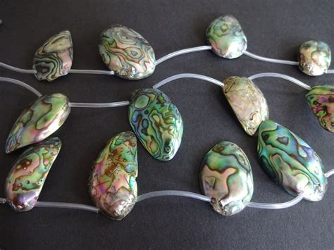 Mm Natural Paua Shell Beads Shell Pieces Chips Drilled Seashell