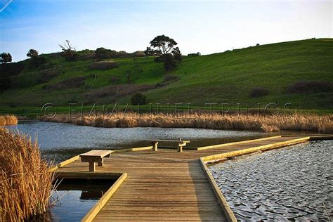 Coyote Hills Regional Park | South bay, Park, Region