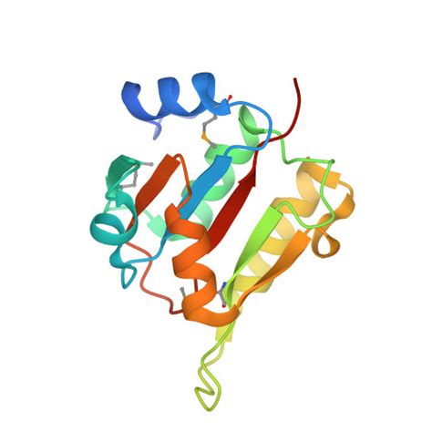 Rcsb Pdb Mvk The Crystal Structure Of Fucu From Bifidobacterium