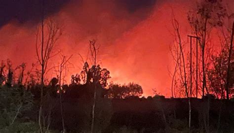 Declaran Alerta Roja Para La Comuna De Chillán Viejo Por Incendio