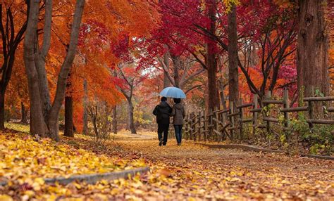 OTOÑO EL MUNDO DE ATLANTIDA Gabitos