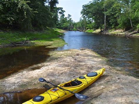 Blackwater River Kayaking Sam Cooper Flickr