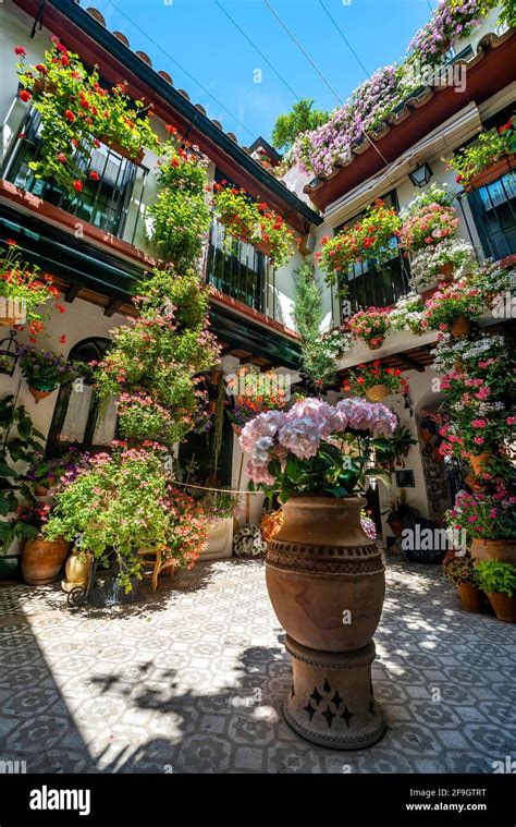 Patio Decorated With Flowers Fiesta De Los Patios Cordoba Andalusia