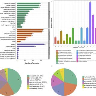 Functional Classification Of Differentially Expressed Proteins A GO