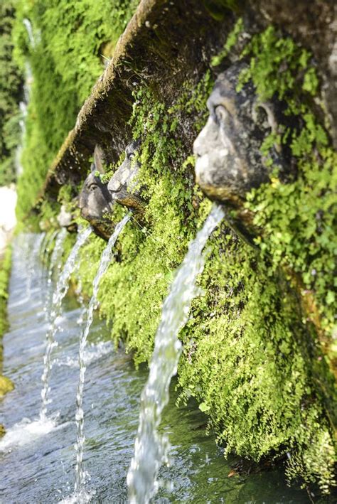 Fountains Tivoli Stock Photos - Download 381 Royalty Free Photos