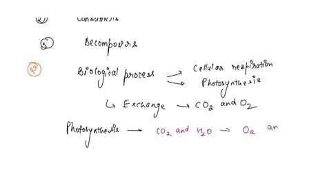 SOLVED Ayo Berdiskusi Jawablah Pertanyaan Berikut Ini Dengan