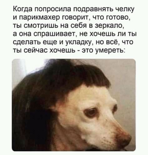 ﻿Когда попросила подравнять челку и парикмахер говорит, что готово, ты ...