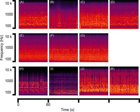 Color Online The Spectrograms Including The Site Recordings First Download Scientific