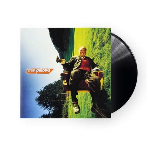 pillows happy bivouac lp black vinyl plastic stone records