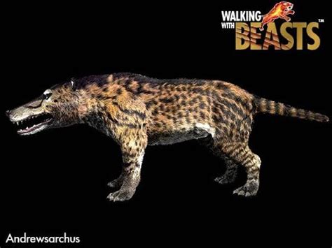 The skull of Andrewsarchus mongoliensis, a terrestrial relative of ...