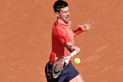 French Open Novak Djokovic Carlos Alcaraz Stay On Track For French Open Semi Final Showdown