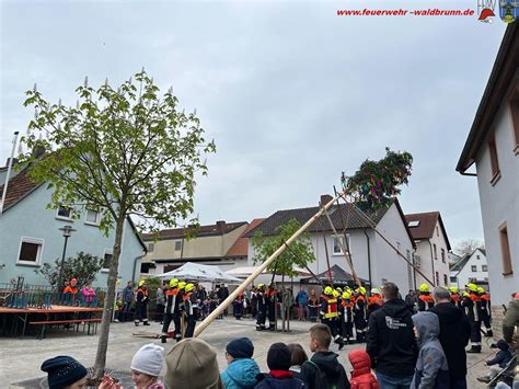 Maibaum Aufstellen Waldbrunn 01 05 2023 Feuerwehr Waldbrunn