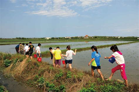 全面迎戰氣候變遷，農委會積極建構韌性農業、推動食農教育｜天下雜誌