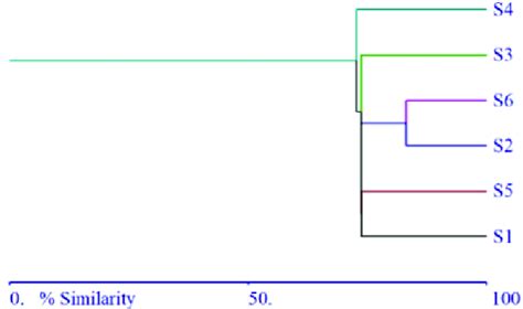 Bray Curtis Similarity Dendrogram Cluster Analysis Single Linkage